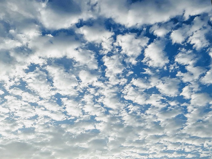 うろこ雲とひつじ雲 簡単に見分ける方法 東北から九州の広範囲で出現 ウェザーニュース