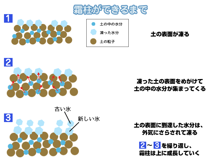 霜降 霜始降 霜と農作物の意外な関係 ウェザーニュース