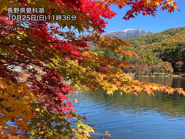 青空と雪と紅葉のコラボレーション 秋と冬が交差する絶景 ウェザーニュース