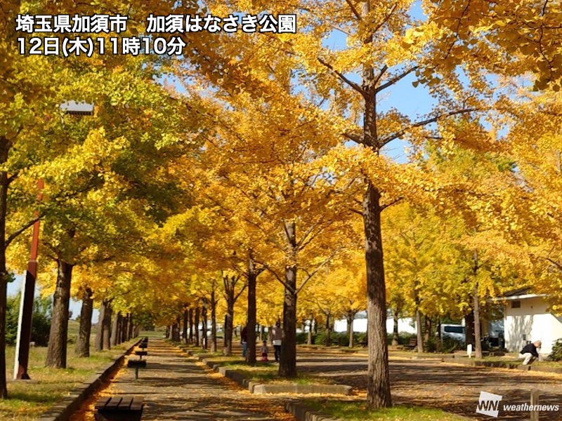 週末は関東など各地で晴天 東北南部から西日本は紅葉が見頃に ウェザーニュース