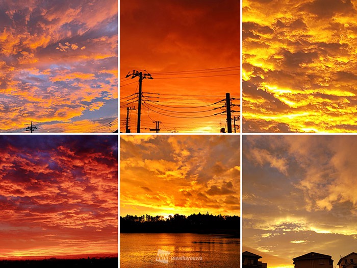 東京など関東では鮮やかな朝焼け 雲がオレンジ色や黄金色に染まる ウェザーニュース