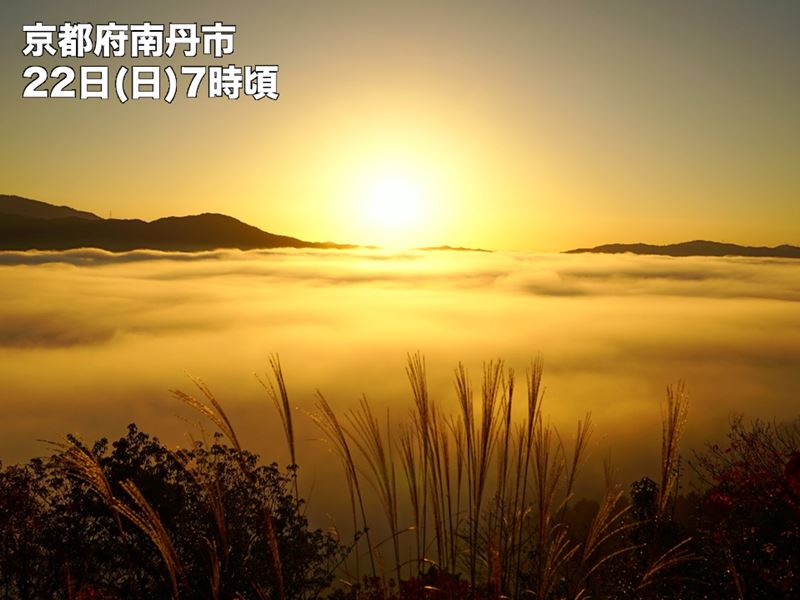 京都・亀岡盆地で冷え込みを象徴する雲海出現秋に現れやすい雲海放射冷却により発生した盆地霧だんだんと霧は解消へ参考資料など