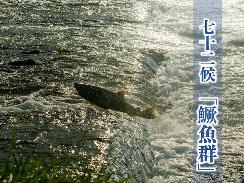 202012150095_sns_img_A.jpg?