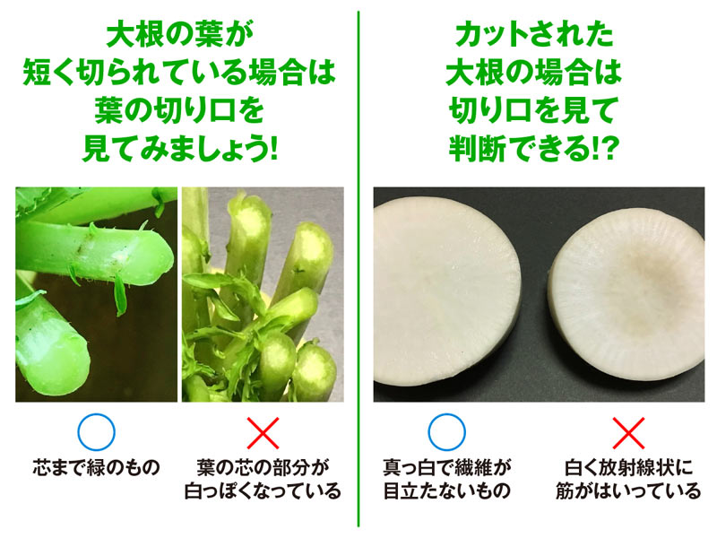 ハズレなし 野菜ソムリエプロが教える おいしい冬大根の選び方 ウェザーニュース