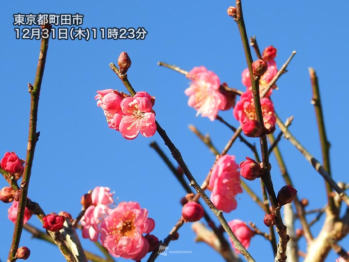 大晦日の関東は冬晴れ 日差しが届いても気温は上がらず ウェザーニュース