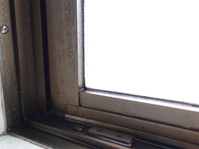 冬は窓のサッシに結露 頑固な黒カビ掃除の裏技教えます ウェザーニュース