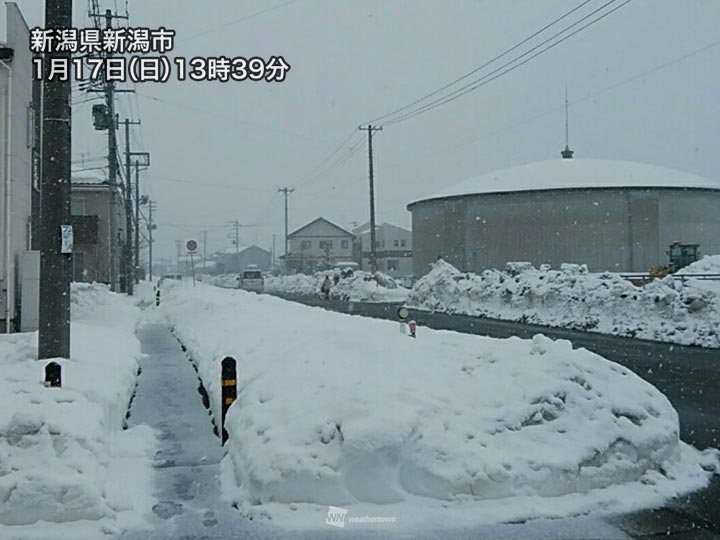 雪 情報 県 新潟