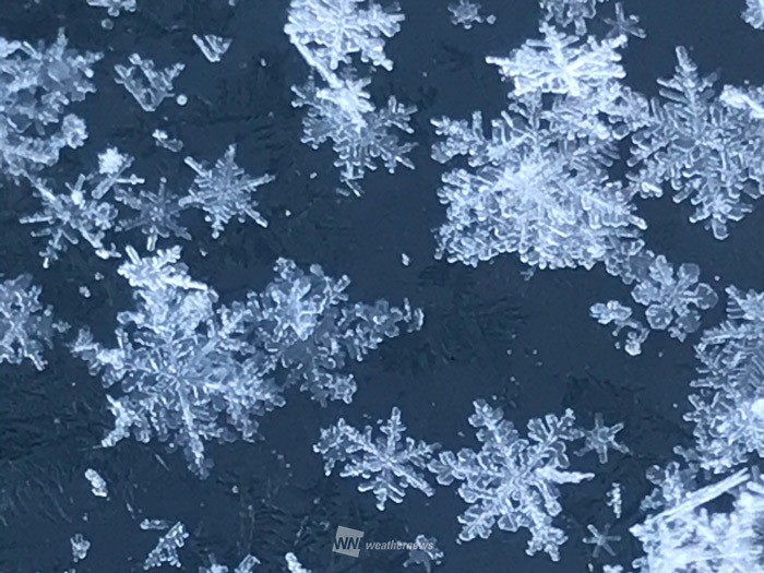 大寒の朝に咲く 霜の華 や 雪の結晶 ウェザーニュース