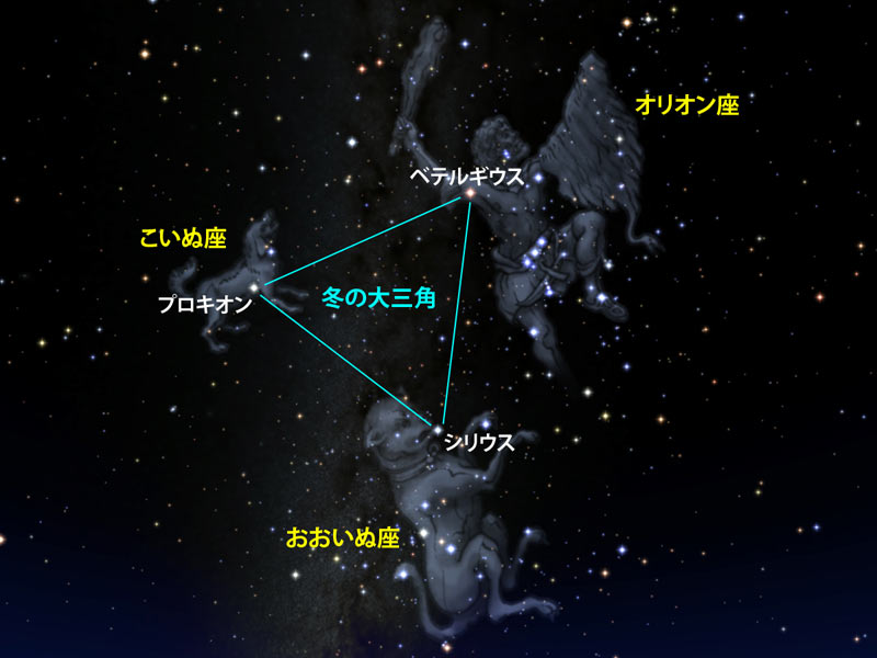 2月の星空の見どころ 冬の大三角 や 等間隔に3つ並ぶ赤い星 ウェザーニュース