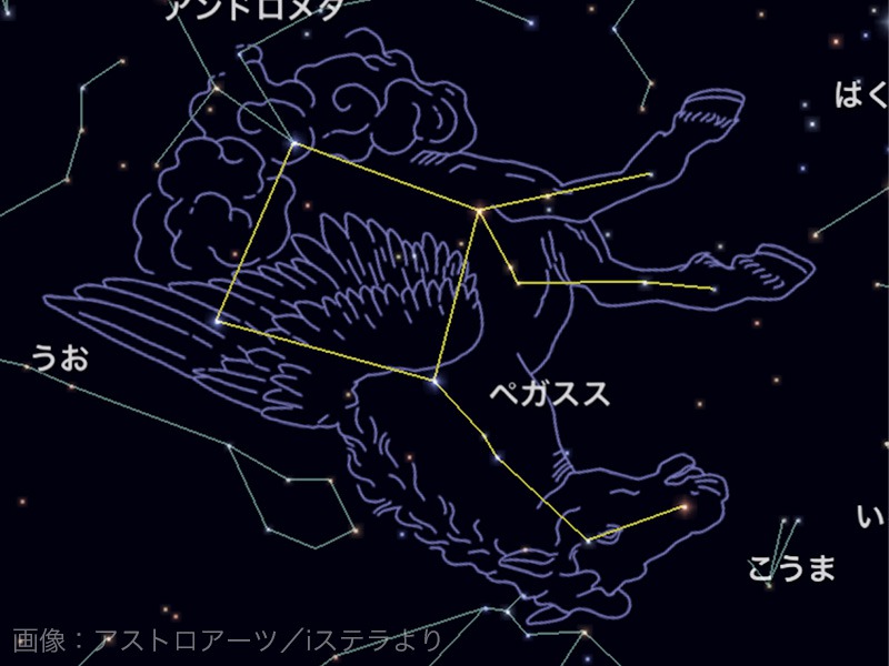 夜空に輝く88星座 - ウェザーニュース