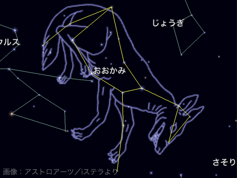 夜空に輝く88星座 - ウェザーニュース