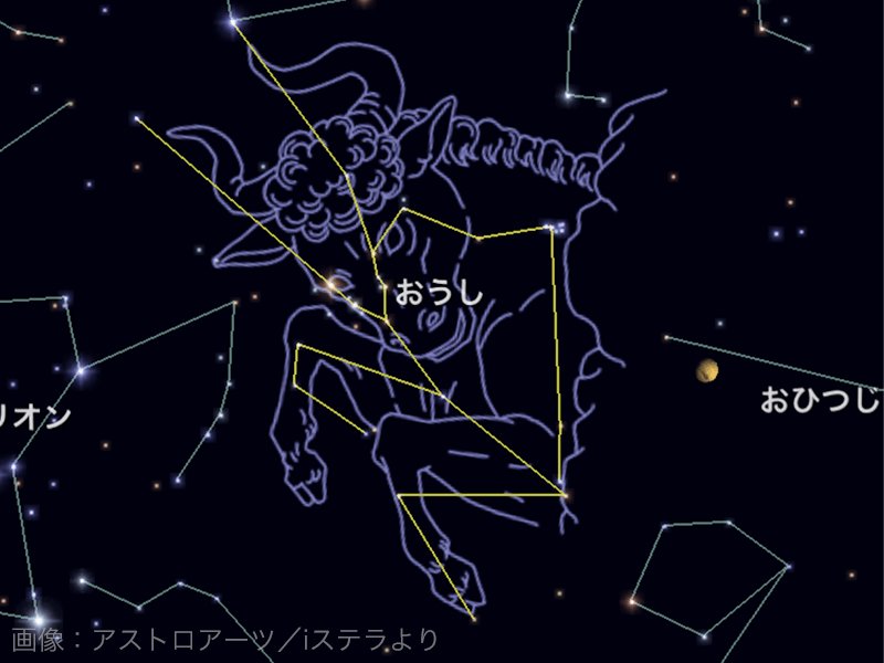 夜空に輝く星座 ウェザーニュース