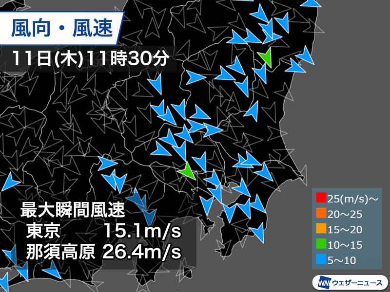 関東は日差しの温もりを吹き飛ばす強風 夕方まで風の強い状況続く ウェザーニュース