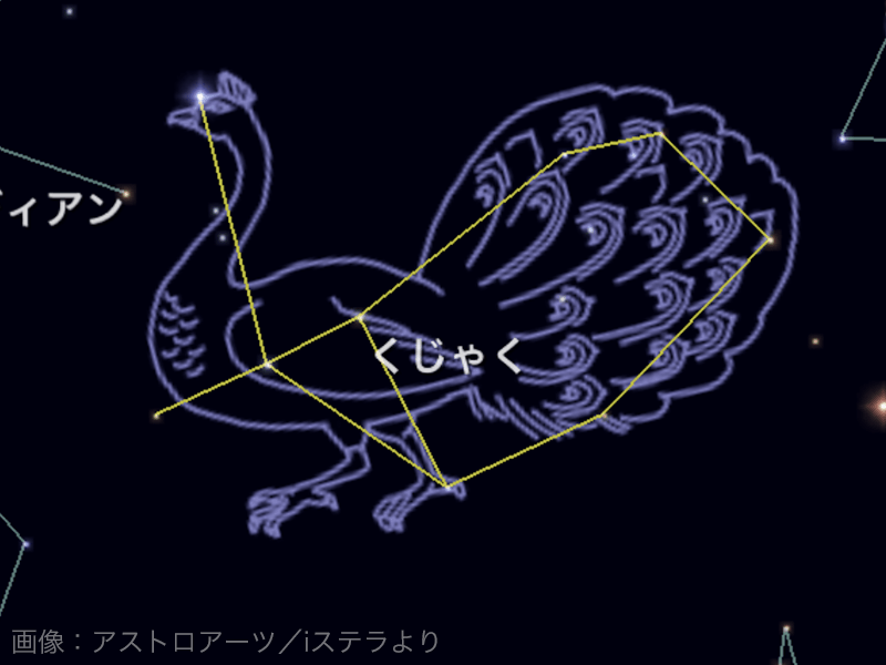 夜空に輝く星座 ウェザーニュース