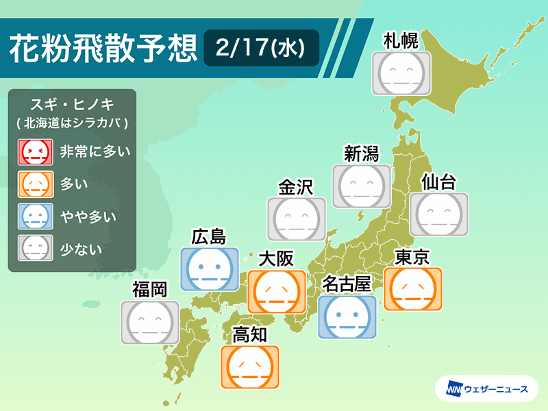 2月17日 水 の花粉飛散予想 関東は 多い 予想 ウェザーニュース