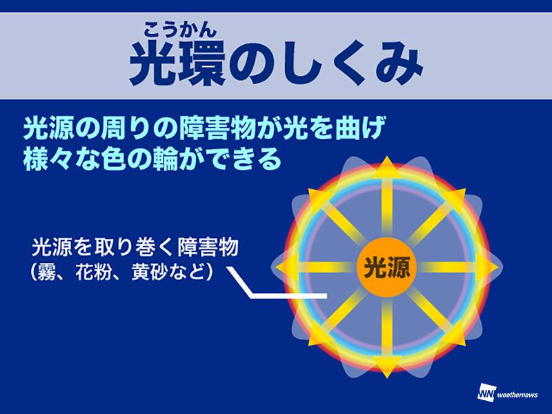 関東に花粉光環が出現 強風で花粉飛散量が増加 ウェザーニュース