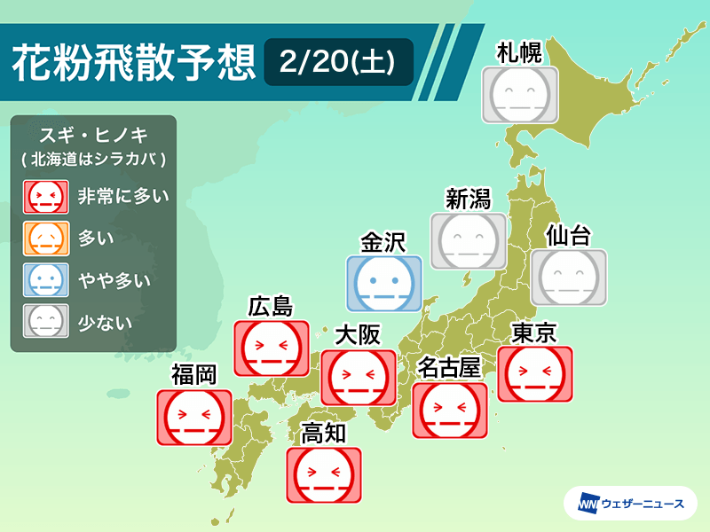2月日 土 の花粉飛散予想 東京や大阪など広範囲で大量飛散のおそれも ウェザーニュース