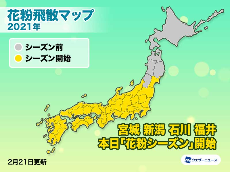 宮城県などが本日 花粉シーズン に突入 東北 北陸も花粉症対策を ウェザーニュース