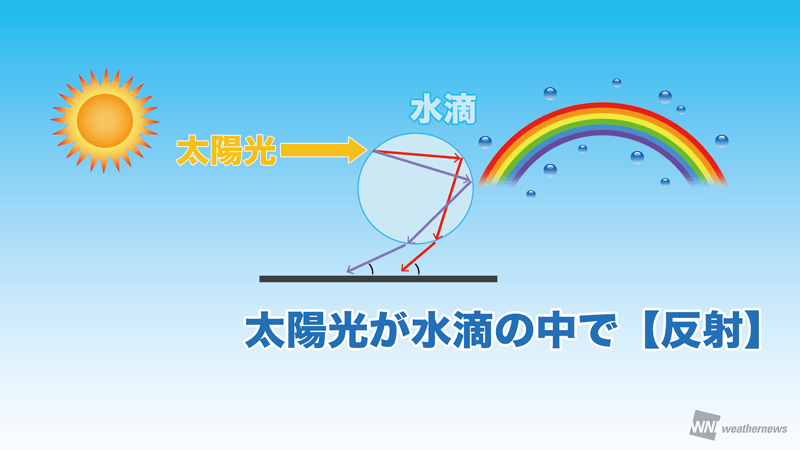 東京都や神奈川県で二重の虹 一部で七色以上の