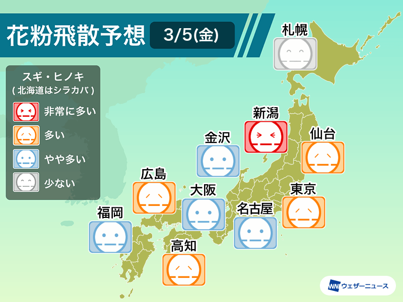 3月5日 金 の花粉飛散予想 東日本は雨が降る前まで多く飛散 ウェザーニュース