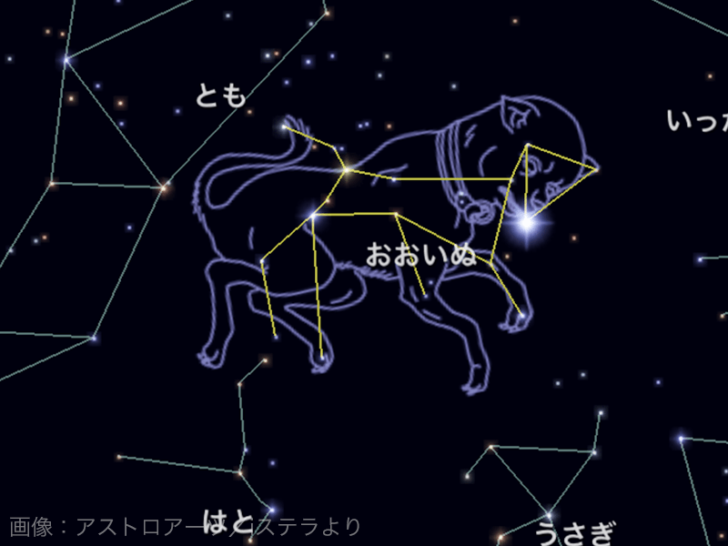 夜空に輝く88星座 - ウェザーニュース