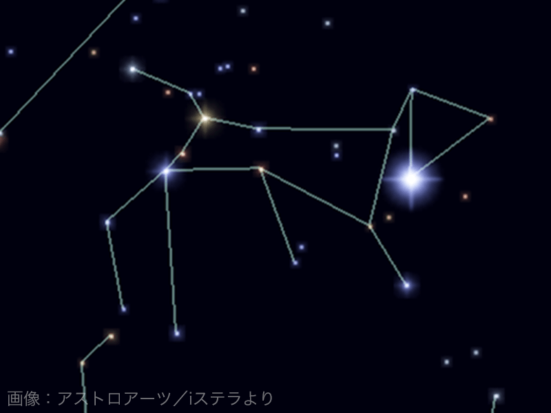 夜空に輝く88星座 - ウェザーニュース