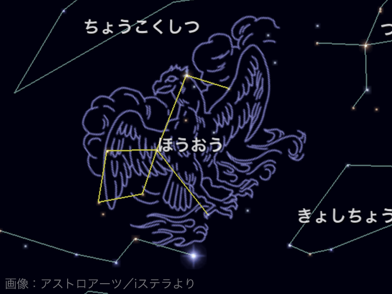 夜空に輝く星座 ウェザーニュース