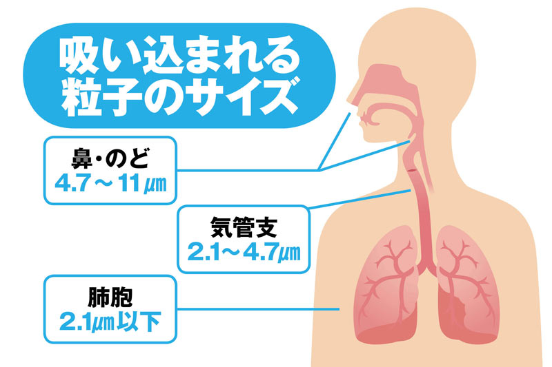 黄砂などで 花粉爆発 喘息など重症化も ウェザーニュース