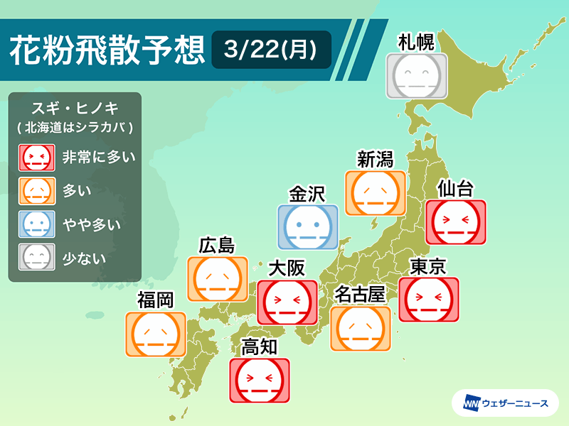 3月22日 月 の花粉飛散予想 東京や大阪などで 非常に多い 予想 ウェザーニュース