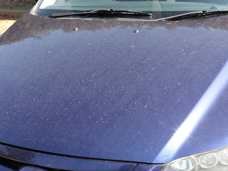 車の花粉ジミ対策は お湯 が効果的 花粉から車を守る方法 ウェザーニュース