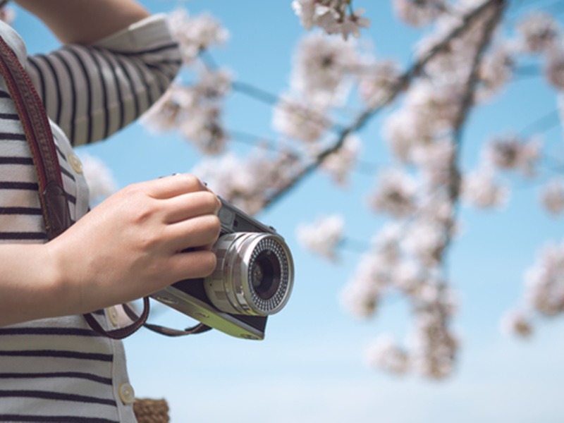 桜の撮影方法 天気別にきれいな撮り方を紹介 ウェザーニュース