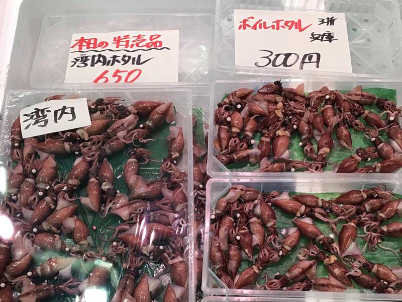 魚のプロに聞いた おいしいホタルイカの見分け方とは ウェザーニュース