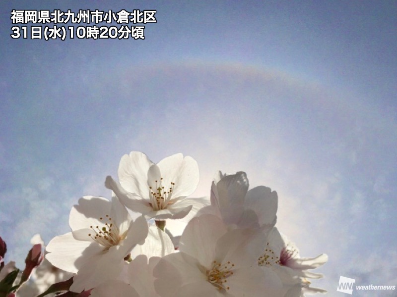 九州北部で「ハロ」が出現 天気の崩れはなし - ウェザーニュース
