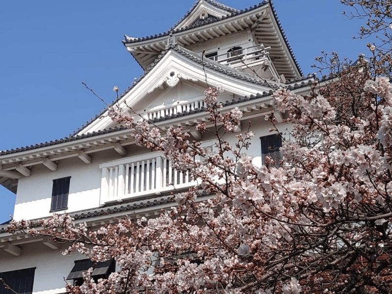 桜開花情報 そろそろ桜終盤 見納めは土曜日がおすすめ ウェザーニュース