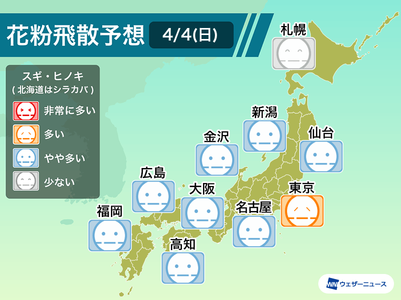 明日4月4日 日 の花粉飛散予想 雨で花粉飛散は広く落ち着く日曜日に ウェザーニュース