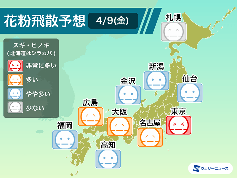 明日4月9日 金 の花粉飛散予想 東京で 非常に多い 予想 ウェザーニュース