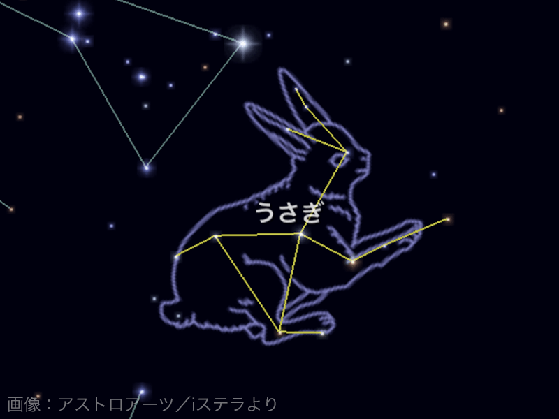 夜空に輝く88星座 - ウェザーニュース
