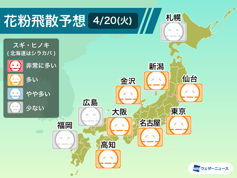 明日4月日 火 の花粉飛散予想 東京などで 多い 予想に ウェザーニュース
