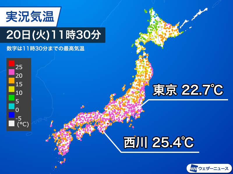 本州で午前中から25 超える夏日 東京もすでに昨日より高い気温 ウェザーニュース