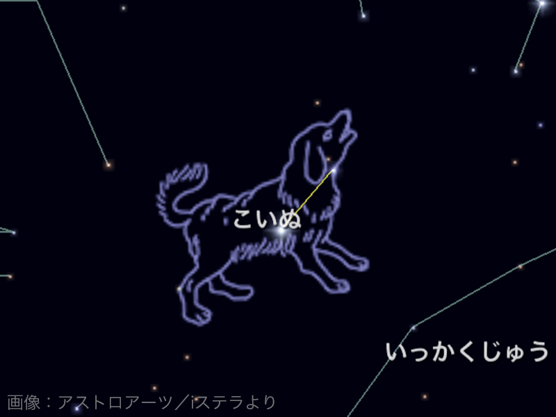 夜空に輝く星座 ウェザーニュース