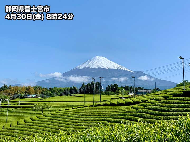 ＜写真＞雨上がりの雄大な富士山と茶畑 明日は八十八夜 - ウェザーニュース