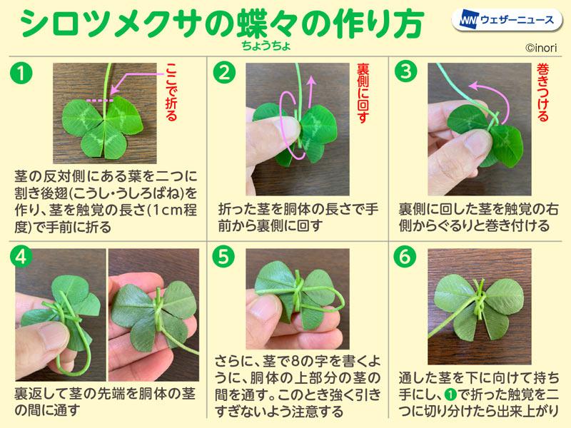 野草で蝶々やモビールが作れる簡単な花遊び ウェザーニュース