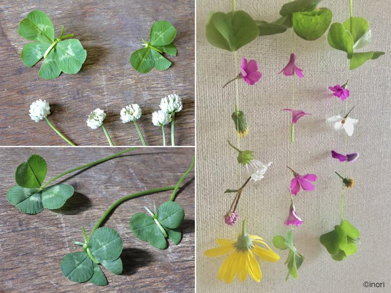 野草で蝶々やモビールが作れる簡単な花遊び ウェザーニュース
