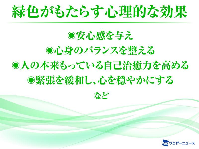 緑色の効果 新緑の季節ならではの緑で心身をリラックス ウェザーニュース