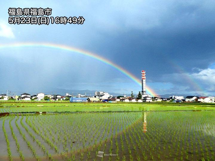 通り雨の後に鮮やかな虹 田んぼの水面も七色に ウェザーニュース