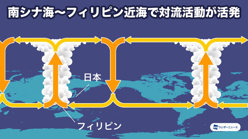 今年の台風発生数は24個前後 8月以降は本州への接近 上陸に注意 台風傾向21 ウェザーニュース