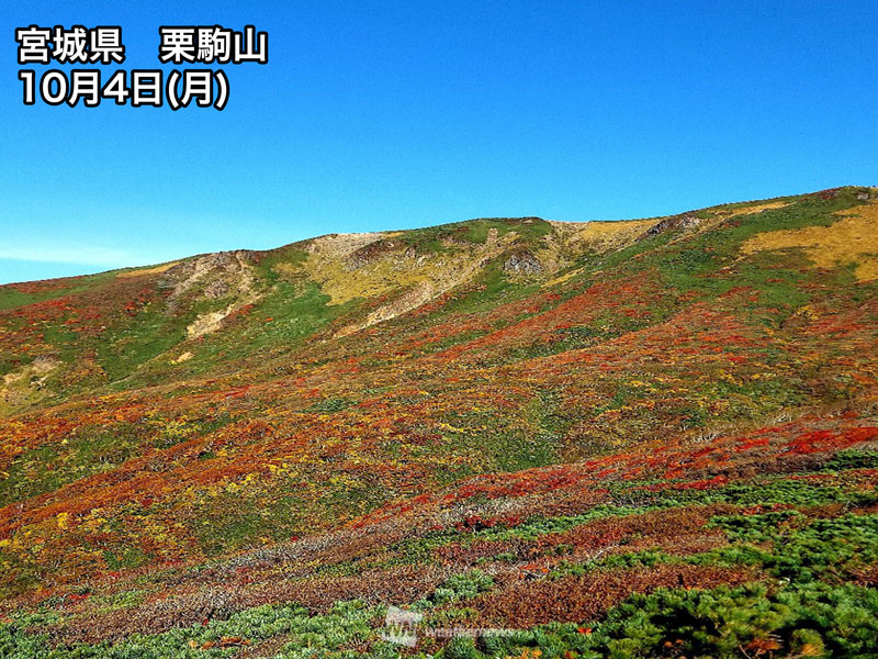 紅葉おすすめ情報 今週末は那須岳や月山で見頃に ウェザーニュース