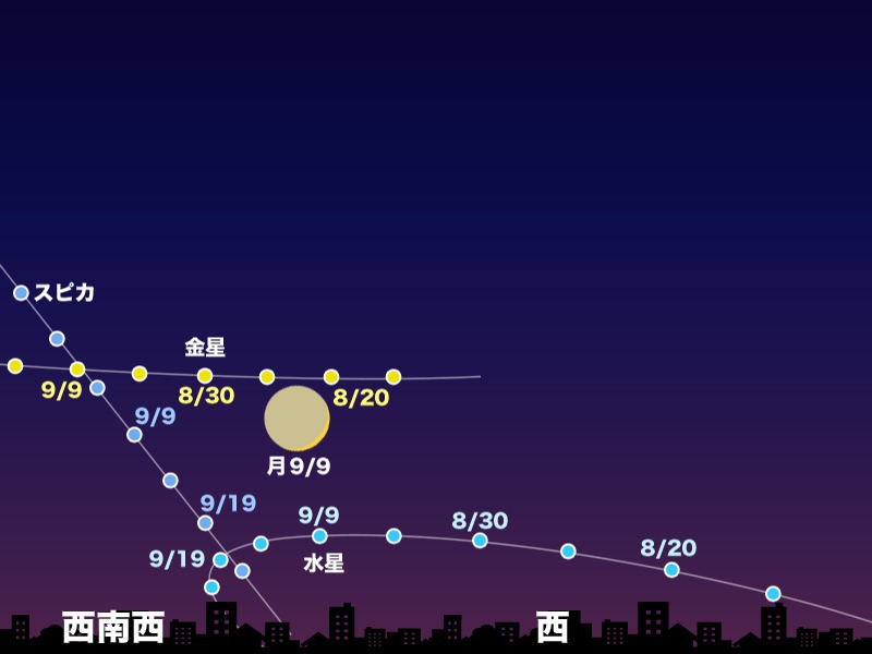 水星が東方最大離角に 観測は14日(火)夕方の西の方角 - ウェザーニュース
