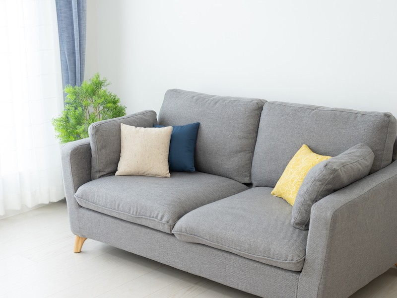 ダニ撃退 アレルギー予防にも効果的なプロの技 ウェザーニュース