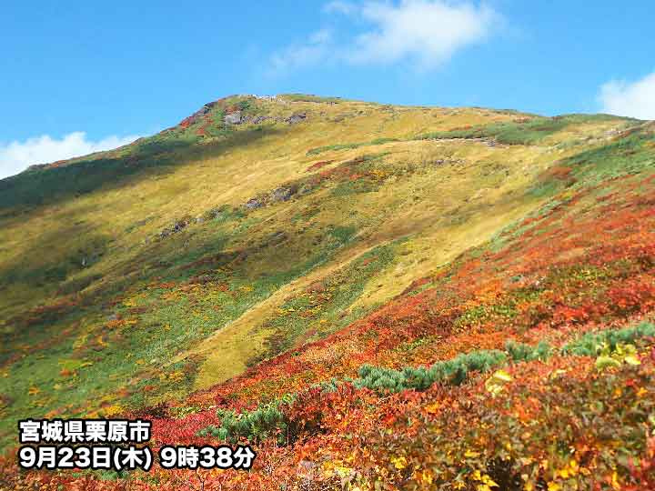 紅葉が見頃に 山間部では秋本番の彩 ウェザーニュース